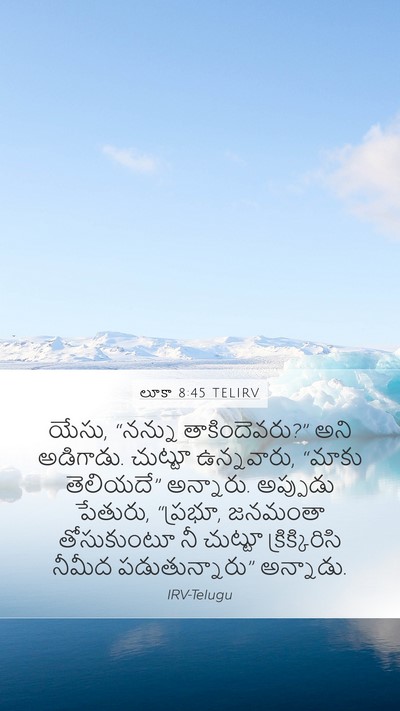 లూకా 8:45 TELIRV Bible Verse Image