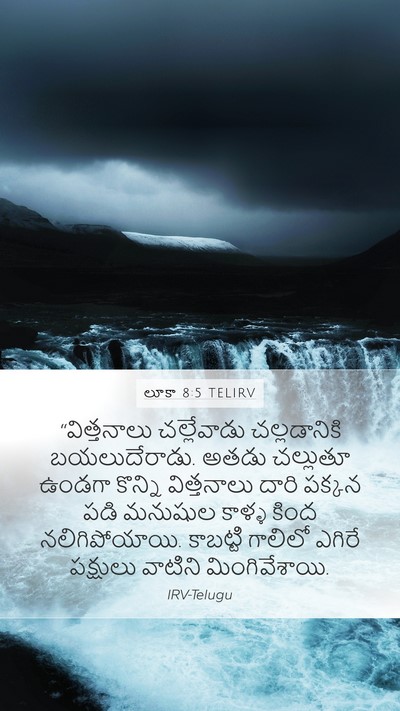 లూకా 8:5 TELIRV Mobile Phone Wallpaper - “విత్తనాలు - Mobile Bible Verse Wallpaper