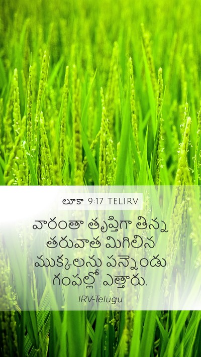 లూకా 9:17 TELIRV Mobile Phone Wallpaper - వారంతా తృప్తిగా - Mobile Bible Verse Wallpaper