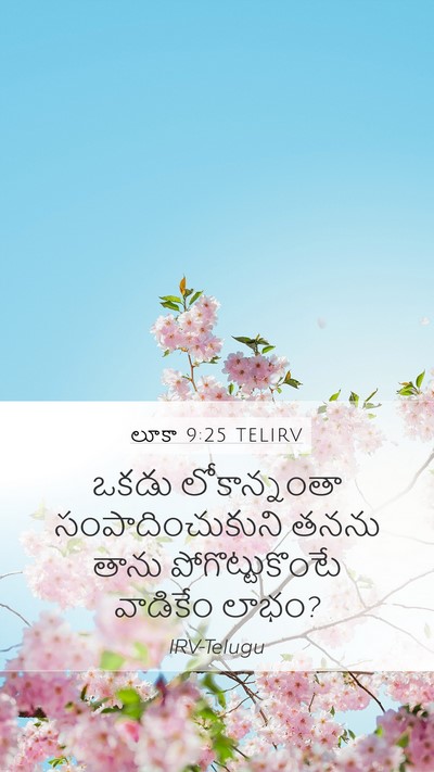 లూకా 9:25 TELIRV Bible Verse Image