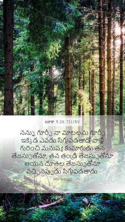లూకా 9:26 TELIRV Mobile Phone Wallpaper - నన్ను గూర్చీ నా - Mobile Bible Verse Wallpaper