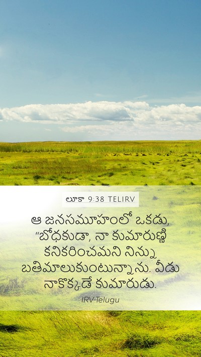 లూకా 9:38 TELIRV Bible Verse Image