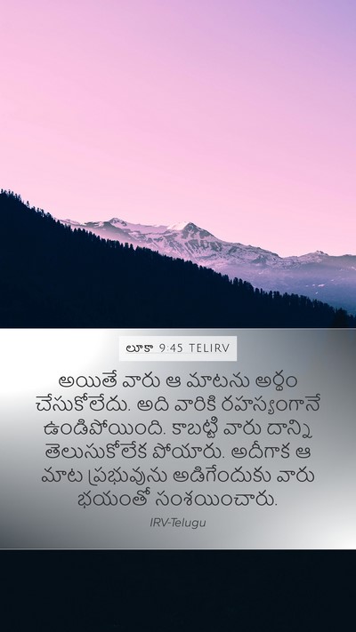 లూకా 9:45 TELIRV Bible Verse Image
