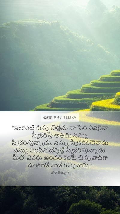 లూకా 9:48 TELIRV Bible Verse Image