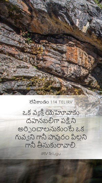లేవీకాండం 1:14 TELIRV Bible Verse Image