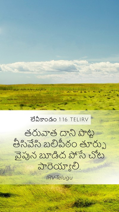 లేవీకాండం 1:16 TELIRV Bible Verse Image