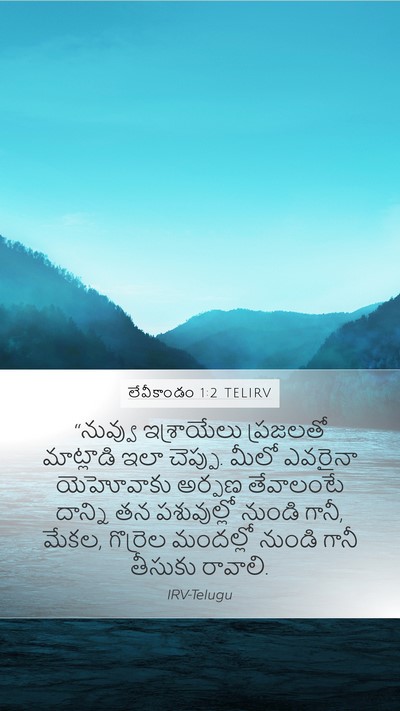 లేవీకాండం 1:2 TELIRV Mobile Phone Wallpaper - “నువ్వు ఇశ్రాయేలు - Mobile Bible Verse Wallpaper