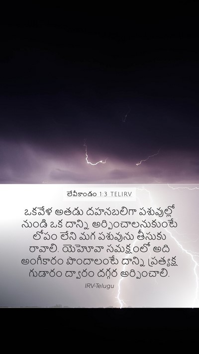 లేవీకాండం 1:3 TELIRV Bible Verse Image