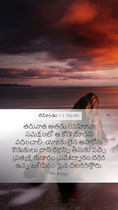 లేవీకాండం 1:5 TELIRV Bible Verse Image