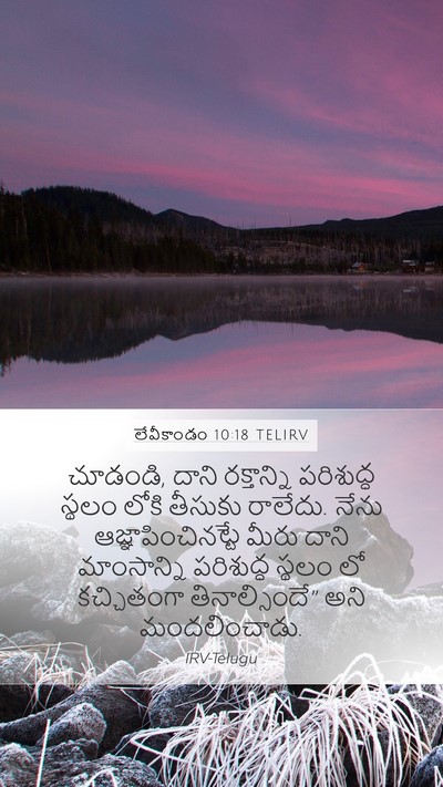 లేవీకాండం 10:18 TELIRV Mobile Phone Wallpaper - చూడండి, దాని - Mobile Bible Verse Wallpaper