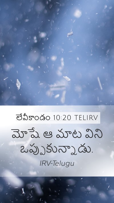 లేవీకాండం 10:20 TELIRV Mobile Phone Wallpaper - మోషే ఆ మాట విని - Mobile Bible Verse Wallpaper