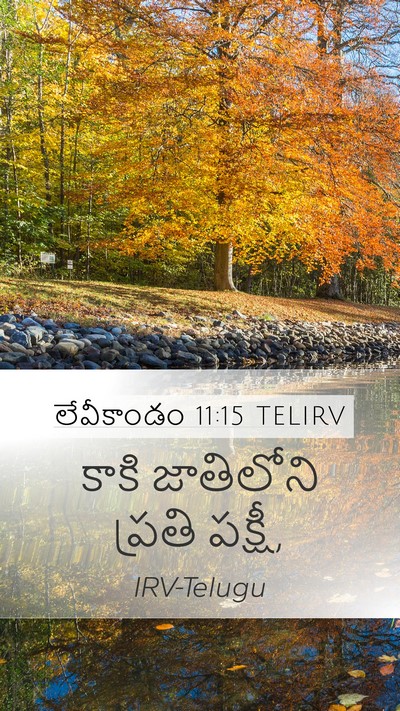 లేవీకాండం 11:15 TELIRV Bible Verse Image