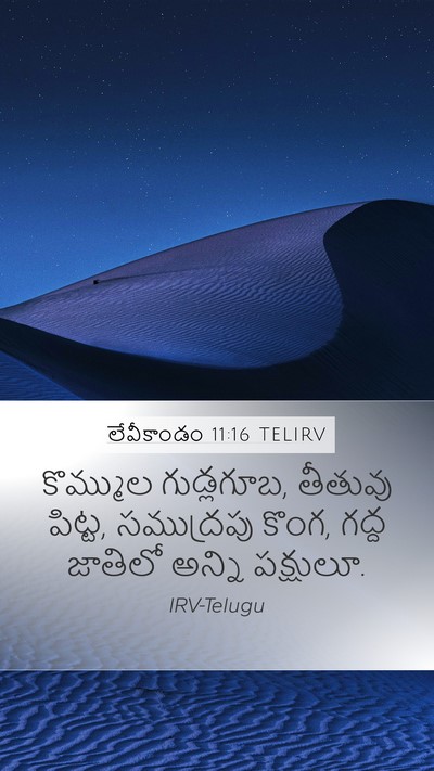 లేవీకాండం 11:16 TELIRV Mobile Phone Wallpaper - కొమ్ముల గుడ్లగూబ, - Mobile Bible Verse Wallpaper