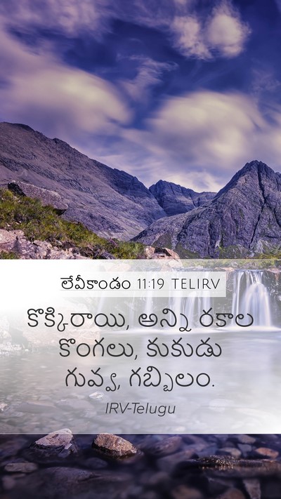 లేవీకాండం 11:19 TELIRV Bible Verse Image