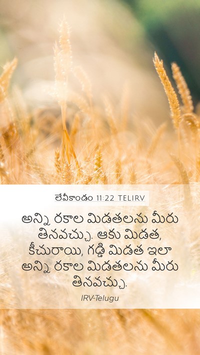 లేవీకాండం 11:22 TELIRV Bible Verse Image