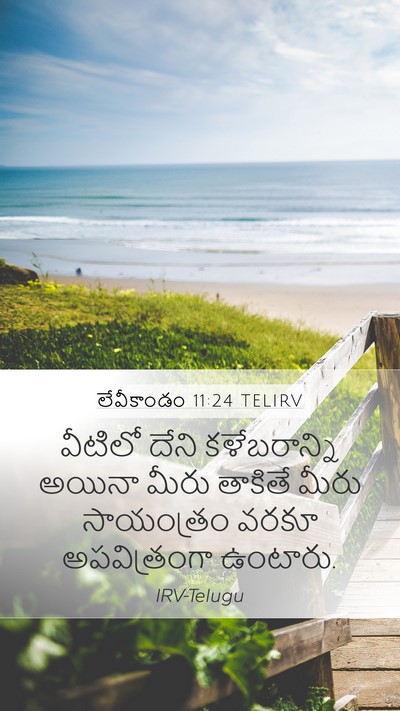 లేవీకాండం 11:24 TELIRV Bible Verse Image