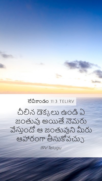 లేవీకాండం 11:3 TELIRV Mobile Phone Wallpaper - చీలిన డెక్కలు - Mobile Bible Verse Wallpaper