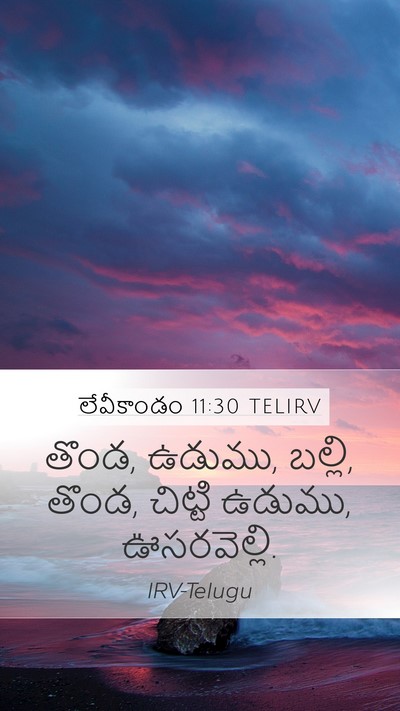 లేవీకాండం 11:30 TELIRV Mobile Phone Wallpaper - తొండ, ఉడుము, బల్లి, - Mobile Bible Verse Wallpaper
