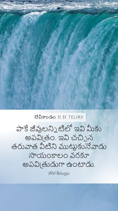 లేవీకాండం 11:31 TELIRV Mobile Phone Wallpaper - పాకే - Mobile Bible Verse Wallpaper