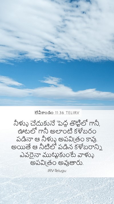 లేవీకాండం 11:36 TELIRV Mobile Phone Wallpaper - నీళ్ళు చేదుకునే - Mobile Bible Verse Wallpaper