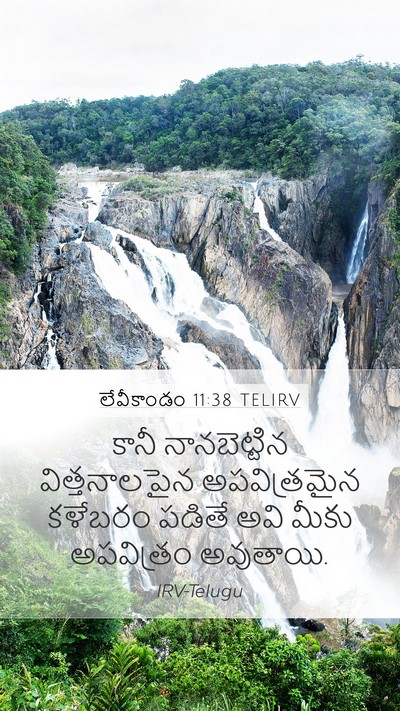 లేవీకాండం 11:38 TELIRV Bible Verse Image