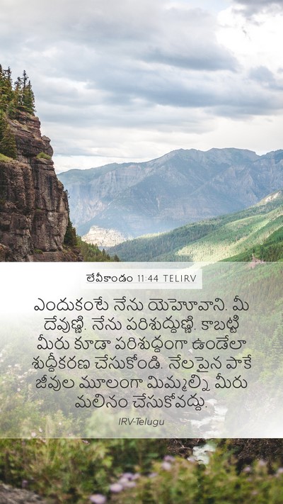 లేవీకాండం 11:44 TELIRV Bible Verse Image