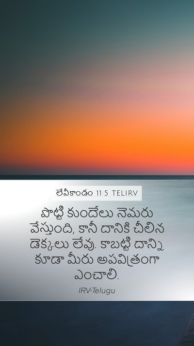 లేవీకాండం 11:5 TELIRV Bible Verse Image