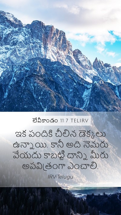 లేవీకాండం 11:7 TELIRV Bible Verse Image