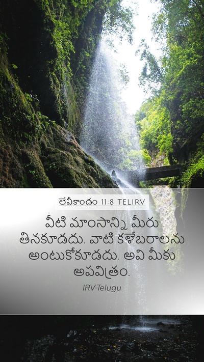 లేవీకాండం 11:8 TELIRV Bible Verse Image