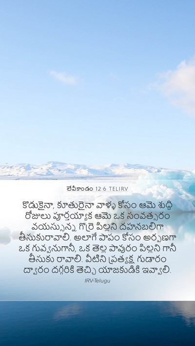 లేవీకాండం 12:6 TELIRV Bible Verse Image