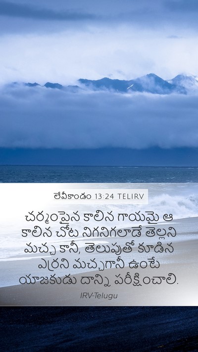 లేవీకాండం 13:24 TELIRV Mobile Phone Wallpaper - చర్మంపైన కాలిన - Mobile Bible Verse Wallpaper