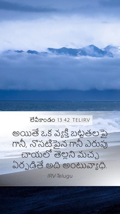 లేవీకాండం 13:42 TELIRV Mobile Phone Wallpaper - అయితే ఒక వ్యక్తి - Mobile Bible Verse Wallpaper