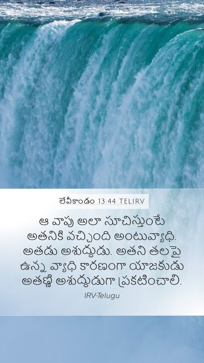 లేవీకాండం 13:44 TELIRV Bible Verse Image