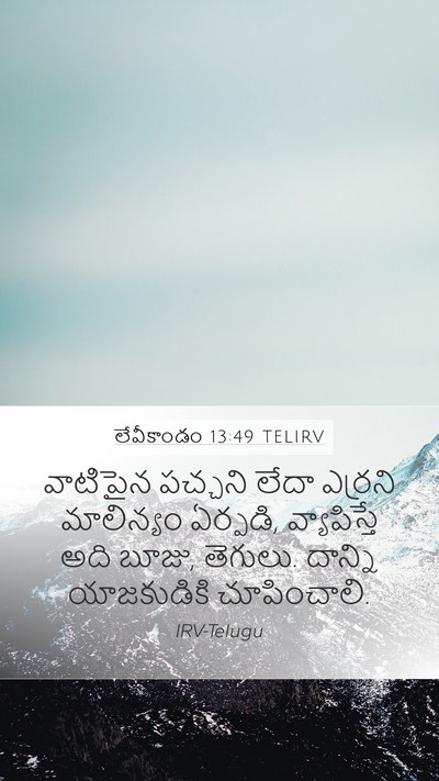 లేవీకాండం 13:49 TELIRV Mobile Phone Wallpaper - వాటిపైన పచ్చని - Mobile Bible Verse Wallpaper