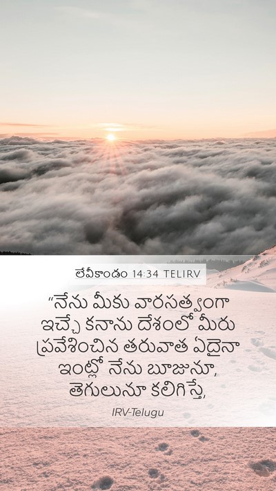 లేవీకాండం 14:34 TELIRV Bible Verse Image