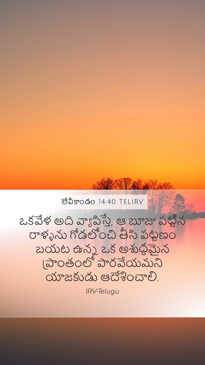లేవీకాండం 14:40 TELIRV Bible Verse Image