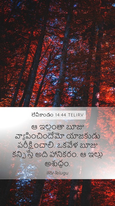 లేవీకాండం 14:44 TELIRV Bible Verse Image