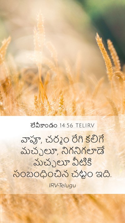 లేవీకాండం 14:56 TELIRV Mobile Phone Wallpaper - వాపూ, చర్మం రేగి - Mobile Bible Verse Wallpaper