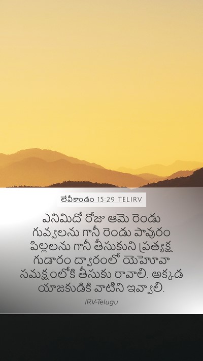 లేవీకాండం 15:29 TELIRV Bible Verse Image