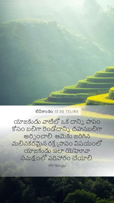 లేవీకాండం 15:30 TELIRV Mobile Phone Wallpaper - యాజకుడు వాటిలో ఒక - Mobile Bible Verse Wallpaper