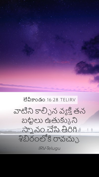 లేవీకాండం 16:28 TELIRV Bible Verse Image
