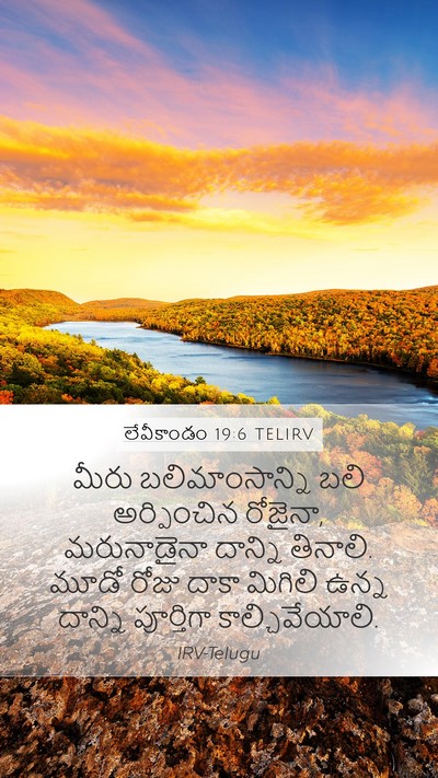 లేవీకాండం 19:6 TELIRV Mobile Phone Wallpaper - మీరు బలిమాంసాన్ని - Mobile Bible Verse Wallpaper