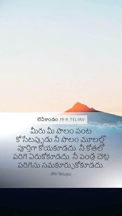 లేవీకాండం 19:9 TELIRV Bible Verse Image