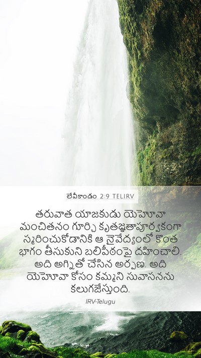 లేవీకాండం 2:9 TELIRV Bible Verse Image