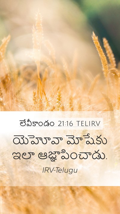 లేవీకాండం 21:16 TELIRV Mobile Phone Wallpaper - యెహోవా మోషేకు ఇలా - Mobile Bible Verse Wallpaper