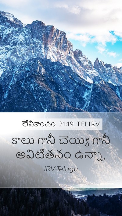 లేవీకాండం 21:19 TELIRV Mobile Phone Wallpaper - కాలు గానీ చెయ్యి - Mobile Bible Verse Wallpaper