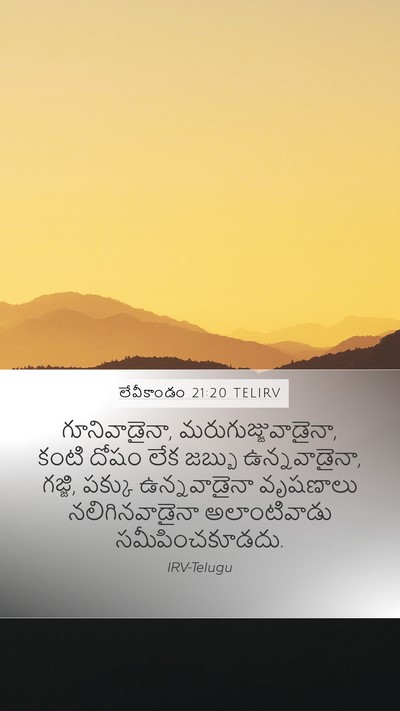 లేవీకాండం 21:20 TELIRV Bible Verse Image
