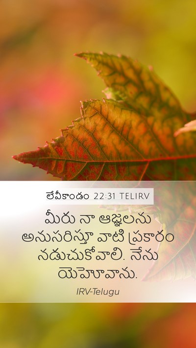 లేవీకాండం 22:31 TELIRV Bible Verse Image