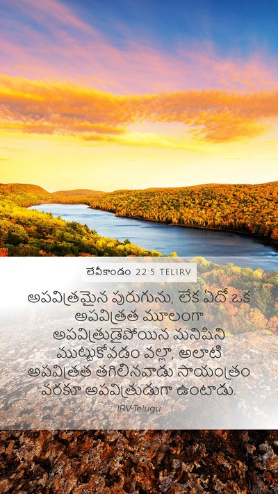 లేవీకాండం 22:5 TELIRV Mobile Phone Wallpaper - అపవిత్రమైన - Mobile Bible Verse Wallpaper