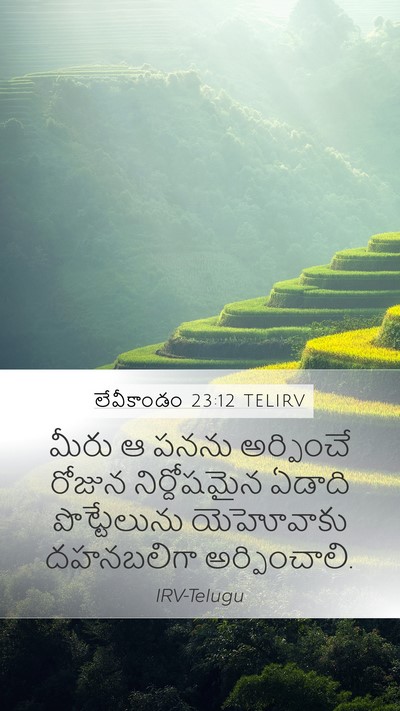 లేవీకాండం 23:12 TELIRV Bible Verse Image
